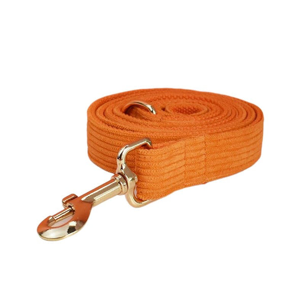 PERSONALIZZABILE - SET PETTORINA PER CANI IN VELLUTO ARANCIONE A COSTE