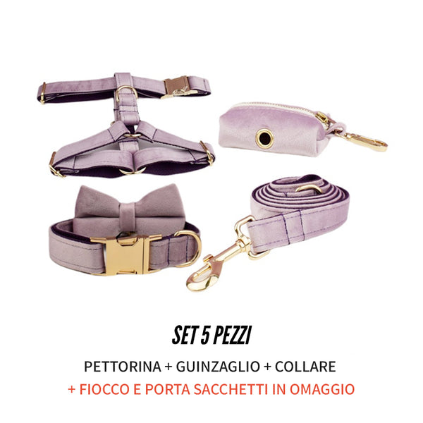 PERSONALIZZABILE - SET PETTORINA PER CANI IN VELLUTO GLICINE FONDO VIOLA