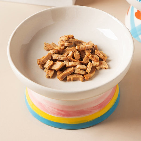 FANTASY CERAMIC RAISED DOG BOWL