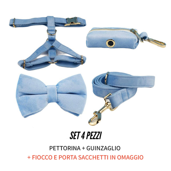 PERSONALIZZABILE - SET PETTORINA PER CANI IN VELLUTO CELESTE