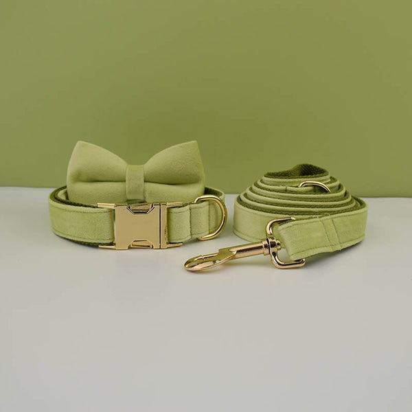 PERSONALIZZABILE - SET COLLARE PER CANI IN VELLUTO PISTACCHIO