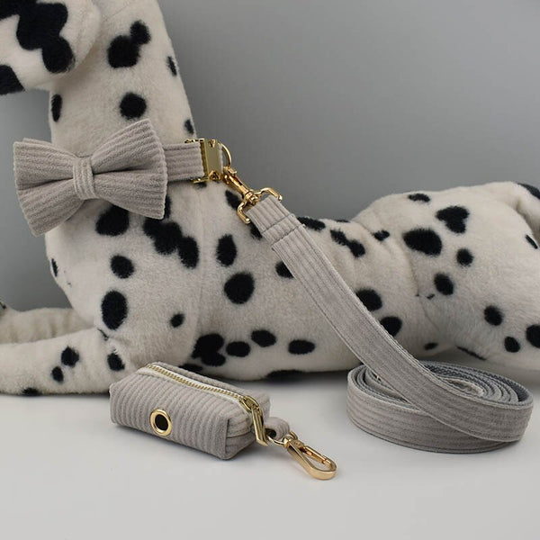 PERSONALIZZABILE - SET COLLARE PER CANI IN VELLUTO GRIGIO A COSTE