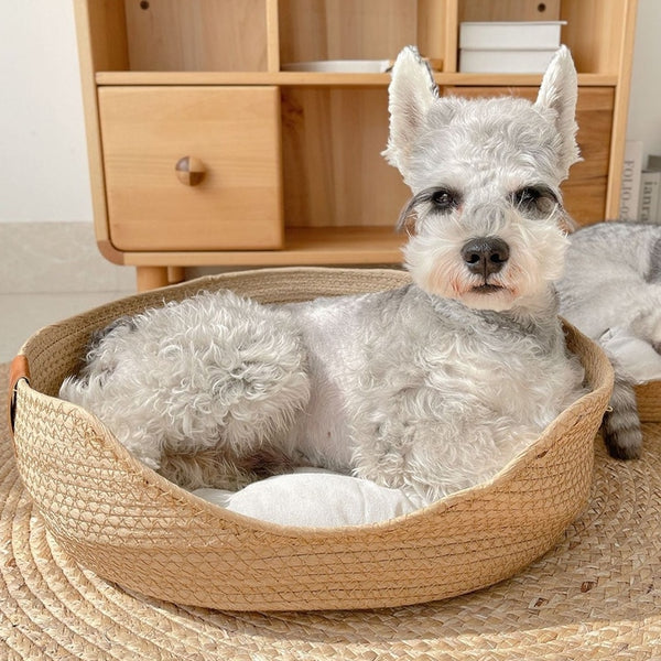 CUCCIA PER CANI IN PAGLIA CON CUSCINI REMOVIBILI QUATTRO STAGIONI