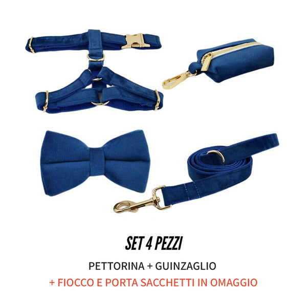 PERSONALIZZABILE - SET PETTORINA PER CANI IN VELLUTO BLU