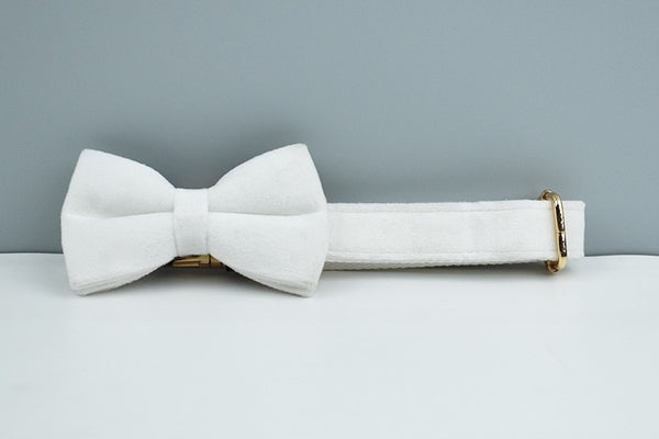 PERSONALIZZABILE - SET PETTORINA PER CANI IN VELLUTO BIANCO