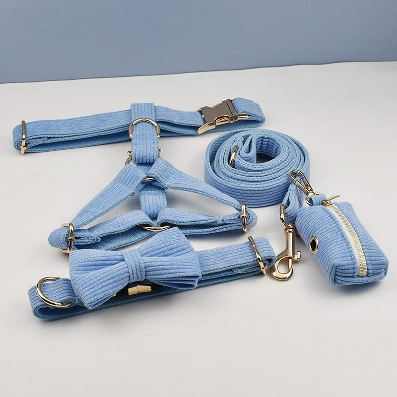 PERSONALIZZABILE - SET PETTORINA PER CANI IN VELLUTO CELESTE A COSTE