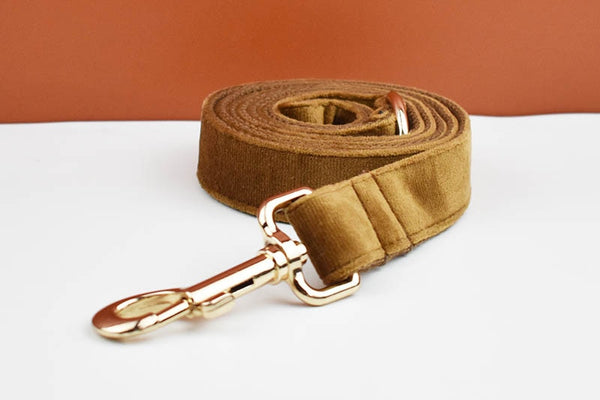 PERSONALIZZABILE - SET PETTORINA PER CANI IN VELLUTO CARAMELLO