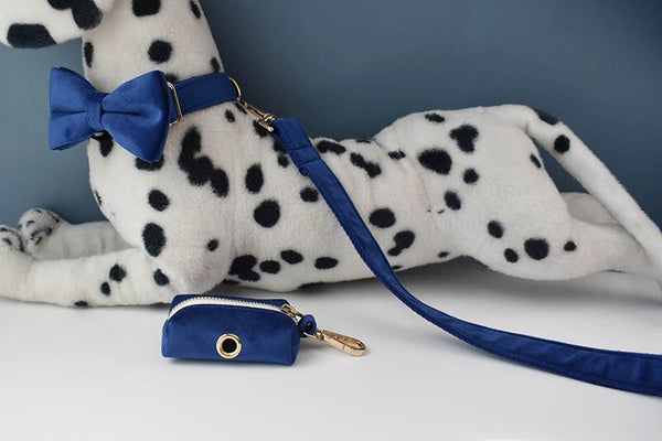 PERSONALIZZABILE - SET COLLARE PER CANI IN VELLUTO BLU