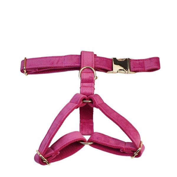 PERSONALIZZABILE - SET PETTORINA PER CANI IN VELLUTO PEONIA