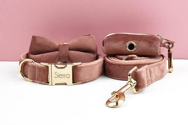 PERSONALIZZABILE - SET PETTORINA PER CANI IN VELLUTO NOCCIOLA