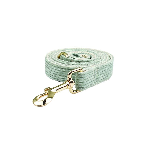 PERSONALIZZABILE - SET PETTORINA PER CANI IN VELLUTO SALVIA A COSTE