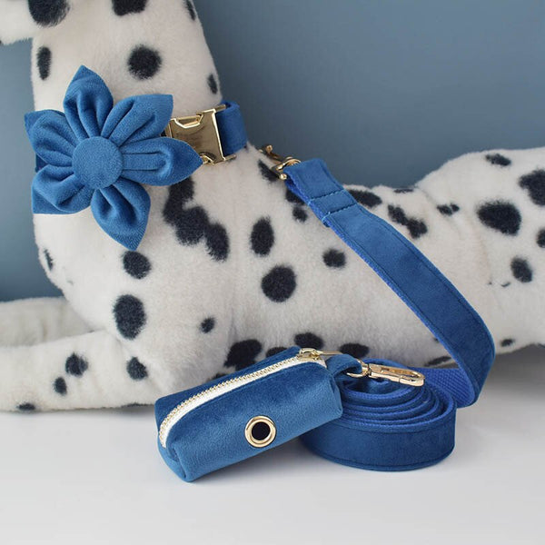 PERSONALIZZABILE - SET PETTORINA PER CANI IN VELLUTO BLU