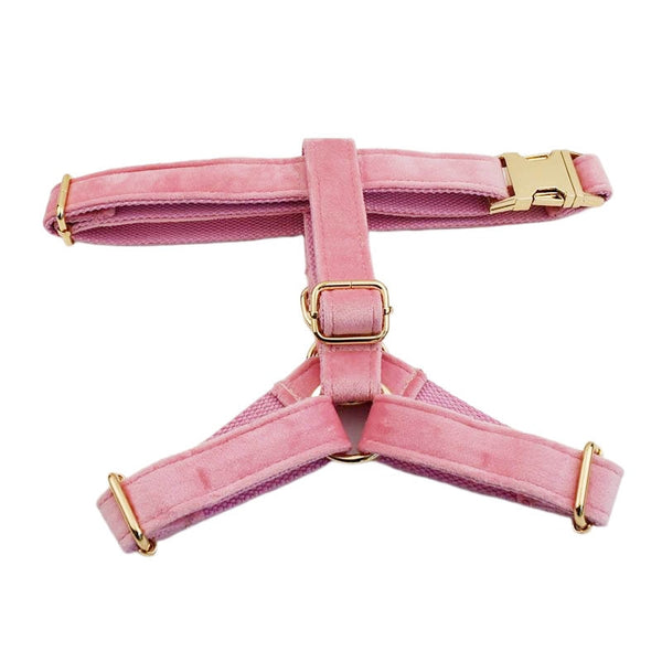 PERSONALIZZABILE - SET PETTORINA PER CANI IN VELLUTO ROSA