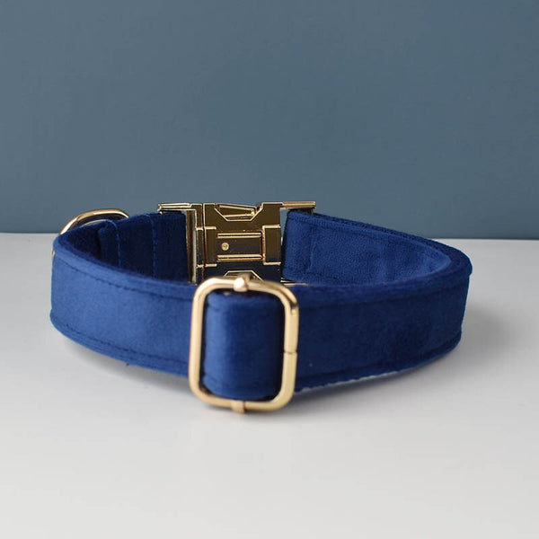 PERSONALIZZABILE - SET COLLARE PER CANI IN VELLUTO BLU