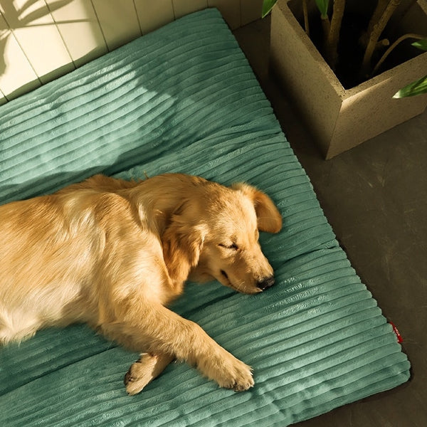 CUCCIA PER CANI CUSCINO GIGANTE SFODERABILE IN MORBIDO PELO