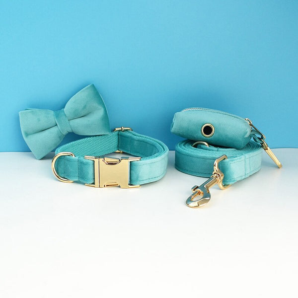 PERSONALIZZABILE - SET PETTORINA PER CANI IN VELLUTO AZZURRO