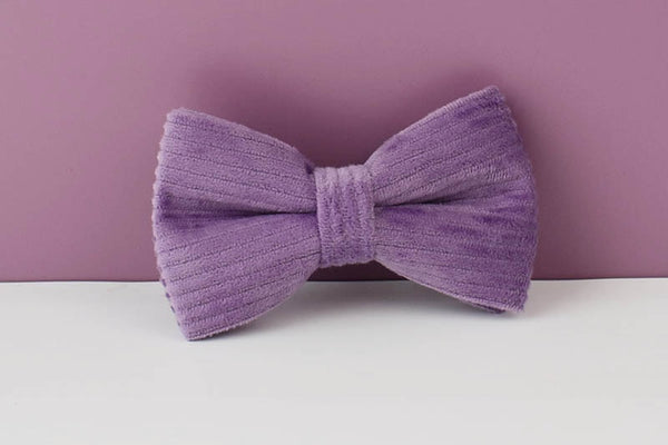 PERSONALIZZABILE - SET COLLARE PER CANI IN VELLUTO VIOLA A COSTE