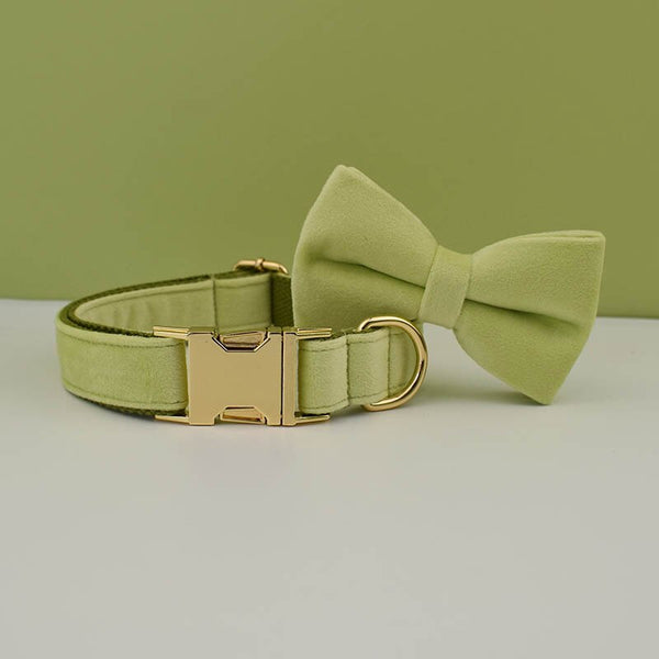 PERSONALIZZABILE - SET COLLARE PER CANI IN VELLUTO PISTACCHIO