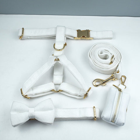 PERSONALIZZABILE - SET PETTORINA PER CANI IN VELLUTO BIANCO