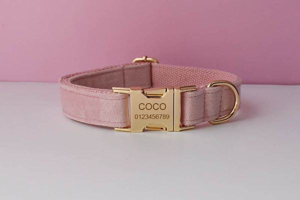 PERSONALIZZABILE - SET COLLARE PER CANI IN VELLUTO ROSA DALIA