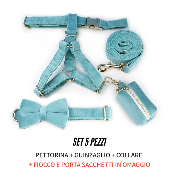 PERSONALIZZABILE - SET PETTORINA PER CANI IN VELLUTO AZZURRO