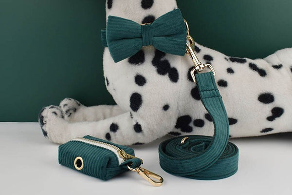 PERSONALIZZABILE - SET COLLARE PER CANI IN VELLUTO VERDE PETROLIO A COSTE