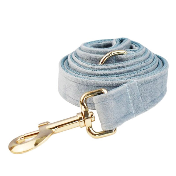 PERSONALIZZABILE - SET PETTORINA PER CANI IN VELLUTO CARTA DA ZUCCHERO