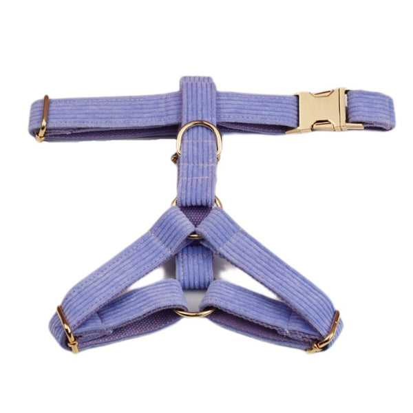 PERSONALIZZABILE - SET PETTORINA PER CANI IN VELLUTO LAVANDA A COSTE