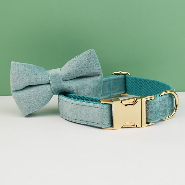 PERSONALIZZABILE - SET PETTORINA PER CANI IN VELLUTO MENTA