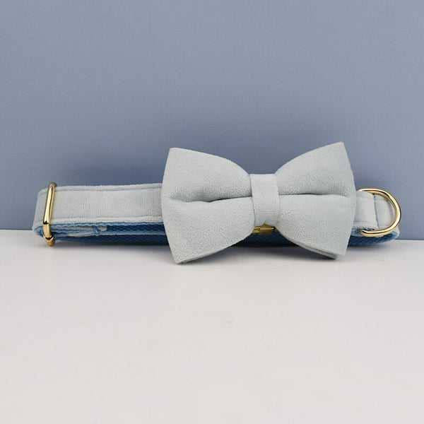PERSONALIZZABILE - SET PETTORINA PER CANI IN VELLUTO BLU GHIACCIO