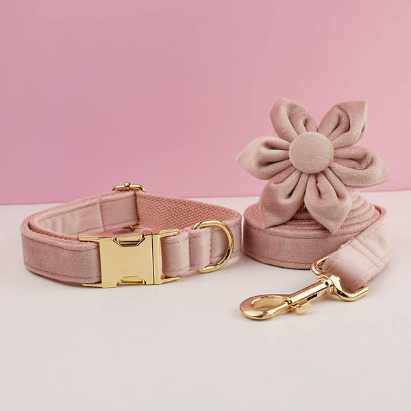 PERSONALIZZABILE - SET PETTORINA PER CANI IN VELLUTO ROSA CIPRIA