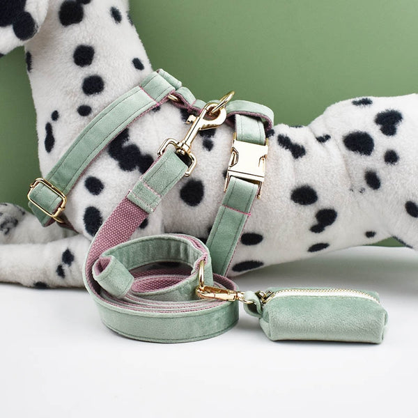 PERSONALIZZABILE - SET PETTORINA PER CANI IN VELLUTO MENTA FONDO ROSA