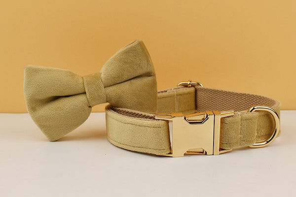 PERSONALIZZABILE - SET PETTORINA PER CANI IN VELLUTO BEIGE
