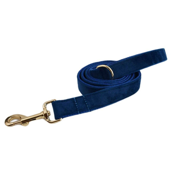 PERSONALIZZABILE - SET PETTORINA PER CANI IN VELLUTO BLU