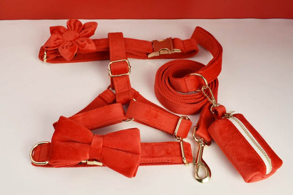 PERSONALIZZABILE - SET PETTORINA PER CANI IN VELLUTO ROSSO