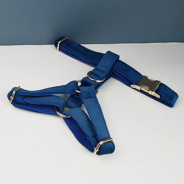 PERSONALIZZABILE - SET PETTORINA PER CANI IN VELLUTO BLU