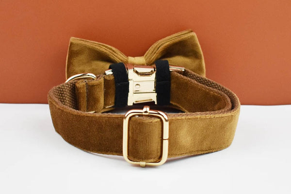 PERSONALIZZABILE - SET PETTORINA PER CANI IN VELLUTO CARAMELLO