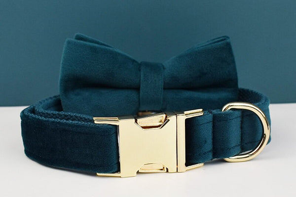 PERSONALIZZABILE - SET PETTORINA PER CANI IN VELLUTO VERDE PETROLIO