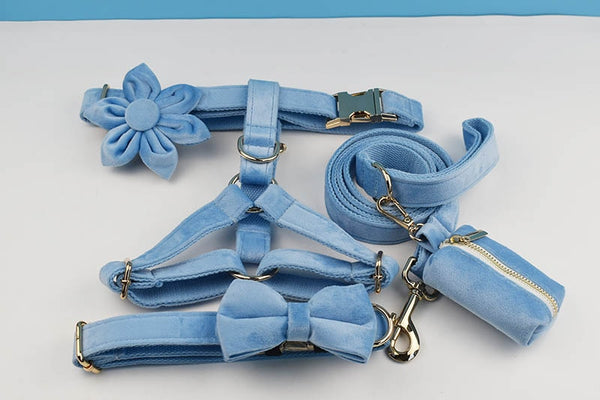 PERSONALIZZABILE - SET PETTORINA PER CANI IN VELLUTO CELESTE