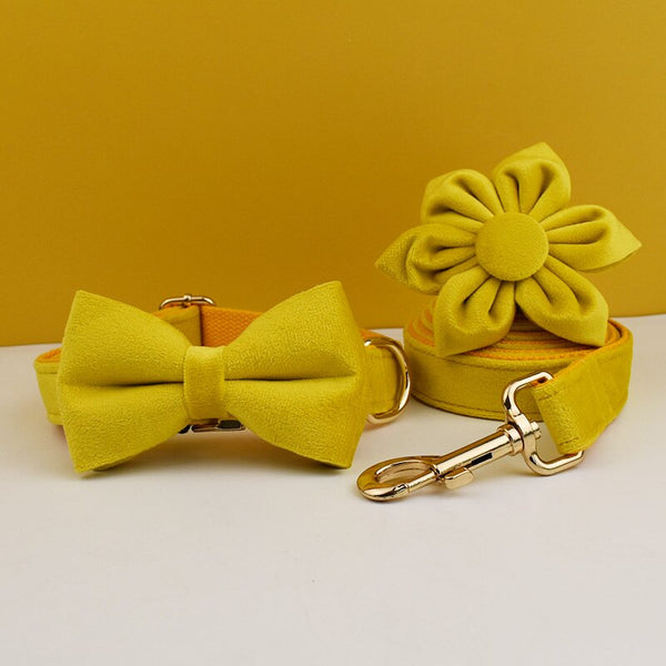 PERSONALIZZABILE - SET PETTORINA PER CANI IN VELLUTO GIALLO