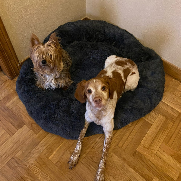 CUCCIA PER CANI ROTONDA PELOSA