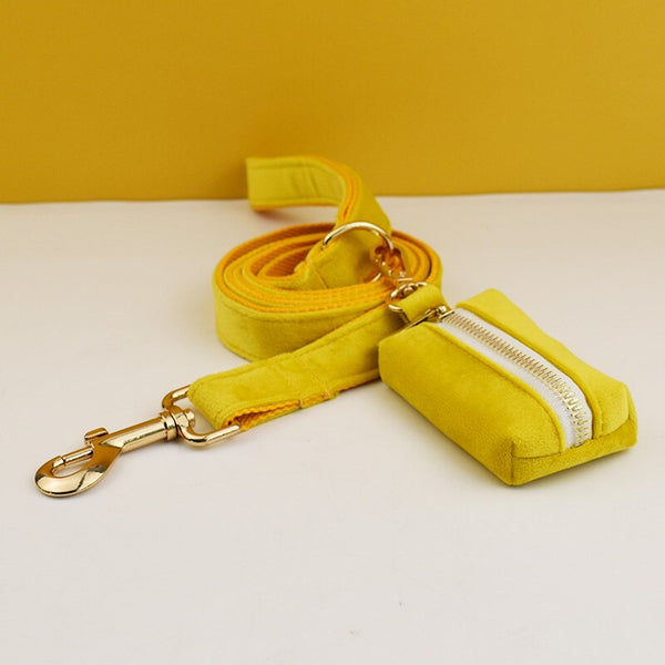 PERSONALIZZABILE - SET PETTORINA PER CANI IN VELLUTO GIALLO