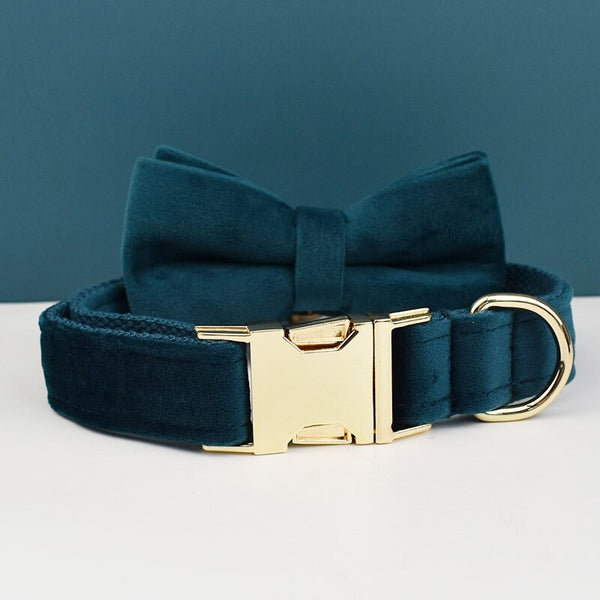 PERSONALIZZABILE - SET PETTORINA PER CANI IN VELLUTO VERDE PETROLIO