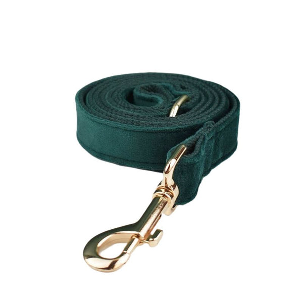 PERSONALIZZABILE - SET PETTORINA PER CANI IN VELLUTO VERDE SCURO