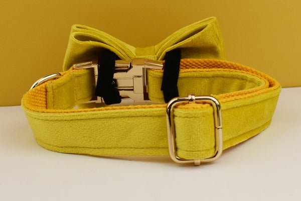 PERSONALIZZABILE - SET PETTORINA PER CANI IN VELLUTO GIALLO