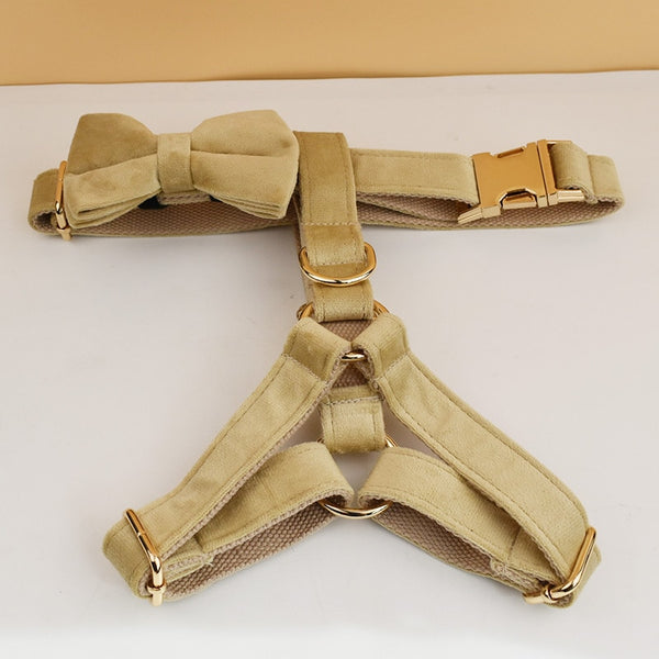 PERSONALIZZABILE - SET PETTORINA PER CANI IN VELLUTO BEIGE