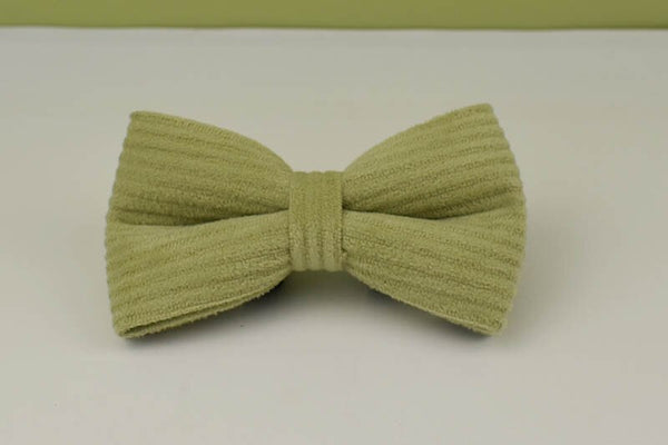 PERSONALIZZABILE - SET COLLARE PER CANI IN VELLUTO PISTACCHIO A COSTE