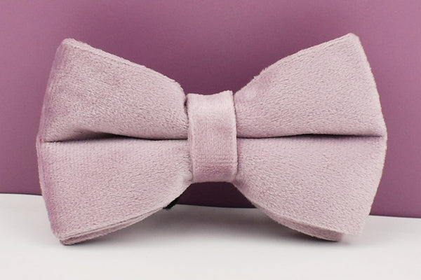PERSONALIZZABILE - SET PETTORINA PER CANI IN VELLUTO GLICINE FONDO VIOLA