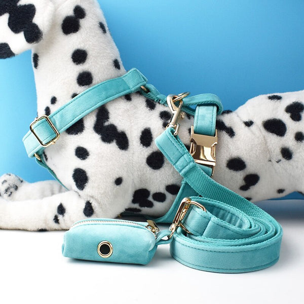 PERSONALIZZABILE - SET PETTORINA PER CANI IN VELLUTO AZZURRO