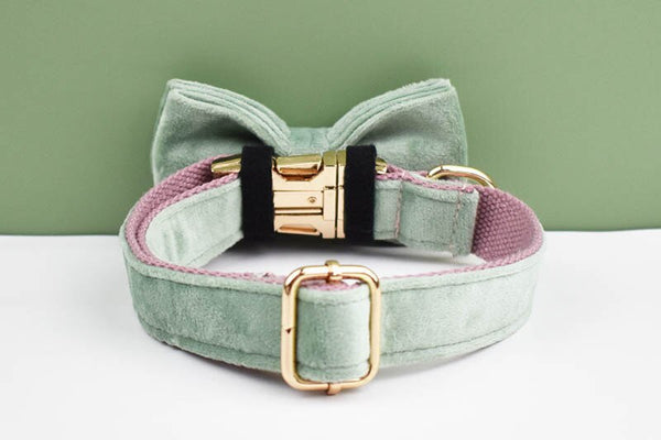 PERSONALIZZABILE - SET PETTORINA PER CANI IN VELLUTO MENTA FONDO ROSA
